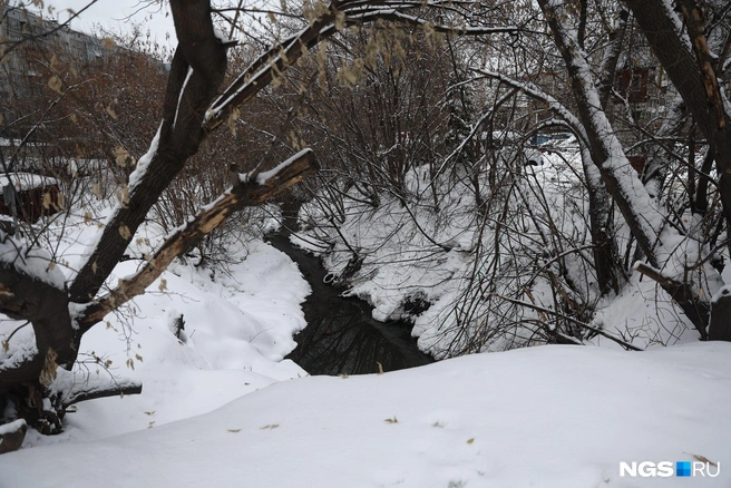 Под дорогой в сторону улицы 25 лет Октября вода течет тонким ручьем | Источник: Александр Ощепков / NGS.RU