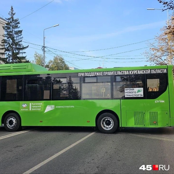 Источник: Дарья Никитченко / 45.RU