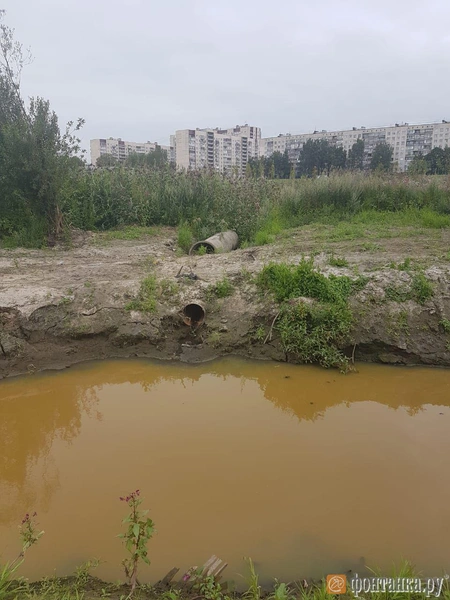 Источник: "Фонтанка.ру"
