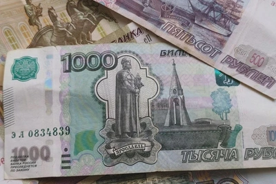 Мать из ЕАО задолжала сыну 700 тысяч рублей