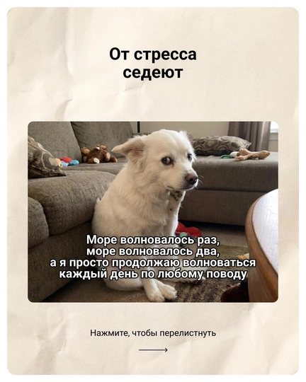 flip image