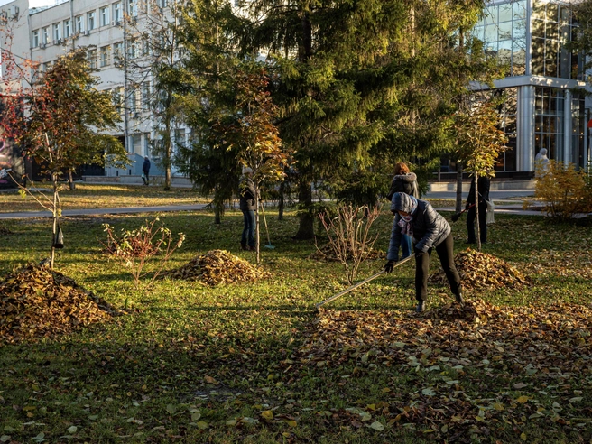 Город приведут в порядок в начале октября | Источник: Александр Ощепков / NGS.RU