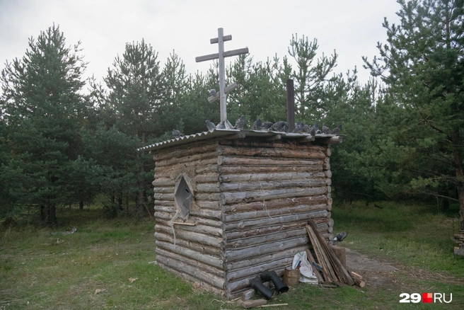 Источник: Иван Митюшёв