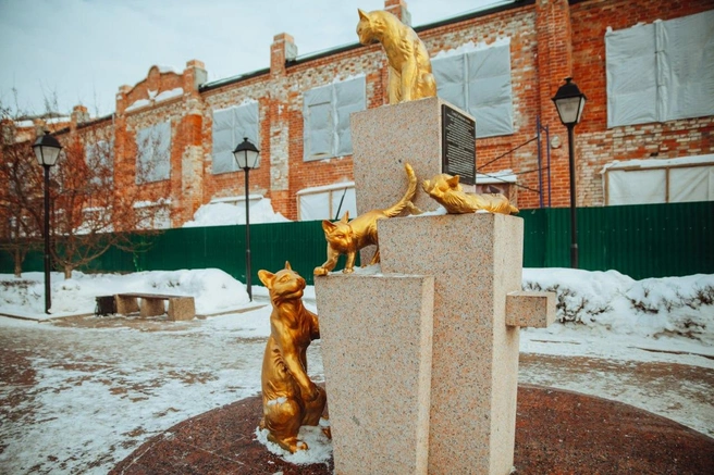 Первое фото сделано в 2019 году, второе&nbsp;— в 2021-м | Источник: Ирина Шарова