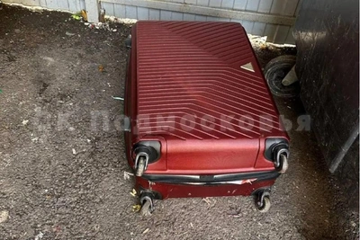 В Красногорске сожитель расчленил женщину и покончил с собой