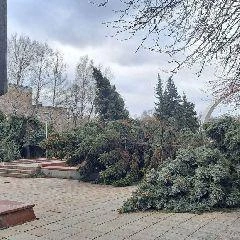 С 31 октября МЧС рассылает СМС с предупреждением о надвигающейся непогоде | Источник: www.city-n.ru