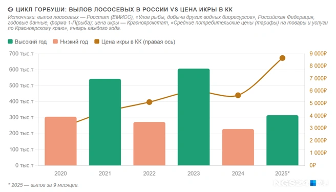 Как бы ни рос вылов лососевых, цены на икру все равно продолжают увеличиваться | Источник: Геннадий Денисов / NGS24.RU