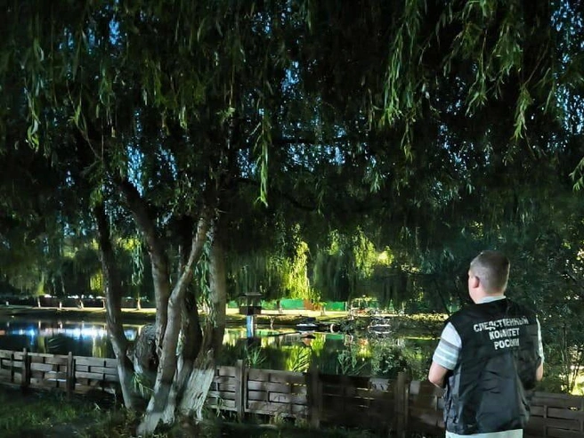 Трагедия произошла в начале июля | Источник: СУ СК России по Воронежской области