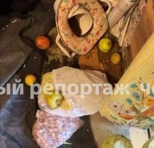 Завалы мусора в квартире | Источник: Честный репортаж / Telegram 