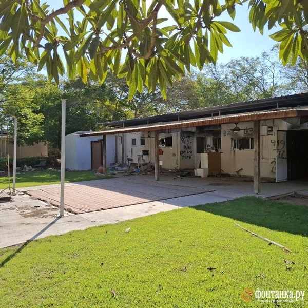 Источник: Ирина Багликова / «Фонтанка.ру»