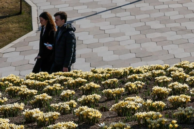 В Москве потеплеет на выходных