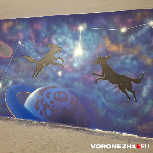 Источник: Алёна Воропаева / Voronezh1.ru