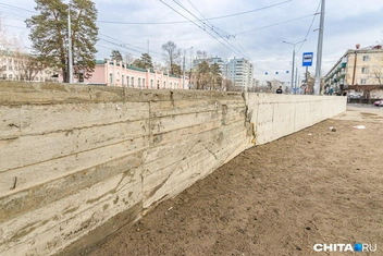 2024 год | Источник: Олег Фёдоров / CHITA.RU