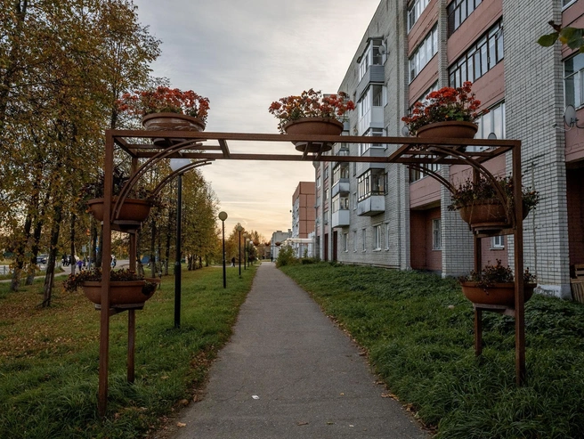 Яркие цветочные арки стали украшением тротуара в посёлке | Источник: Александр Куренной / 76.RU