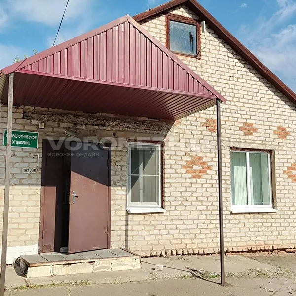 Источник: Татьяна Тельпис / Voronezh1.ru