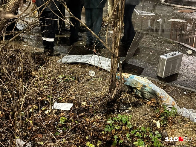 Источник: Регина Алтынбаева / 116.RU