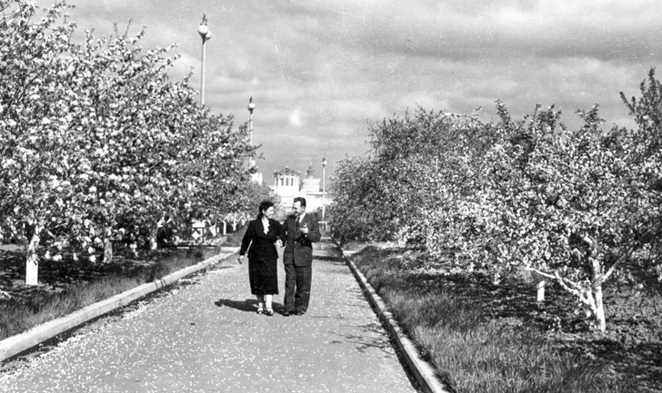 Мичуринскому саду на ВДНХ исполнилось 85 лет!