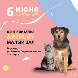 Найди свою четвероногую любовь на выставке собак и кошек из приюта «Юна-Фест» 💖