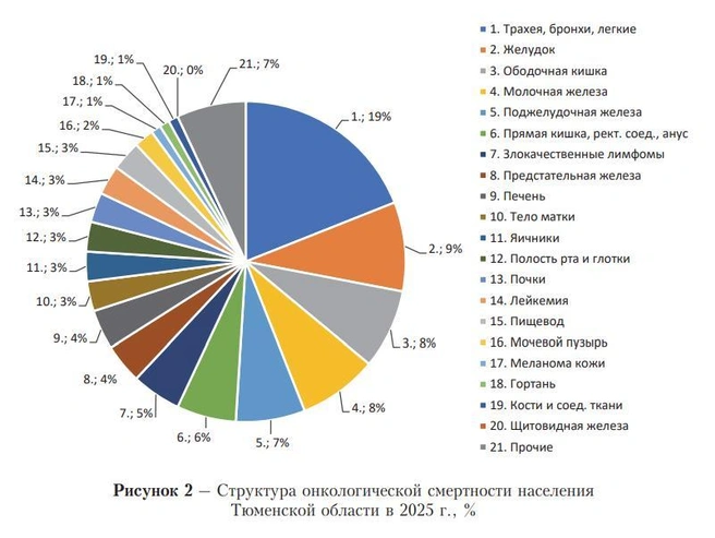 Врачи показали структуру онкологической смертности населения | Источник: Департамент здравоохранения Тюменской области