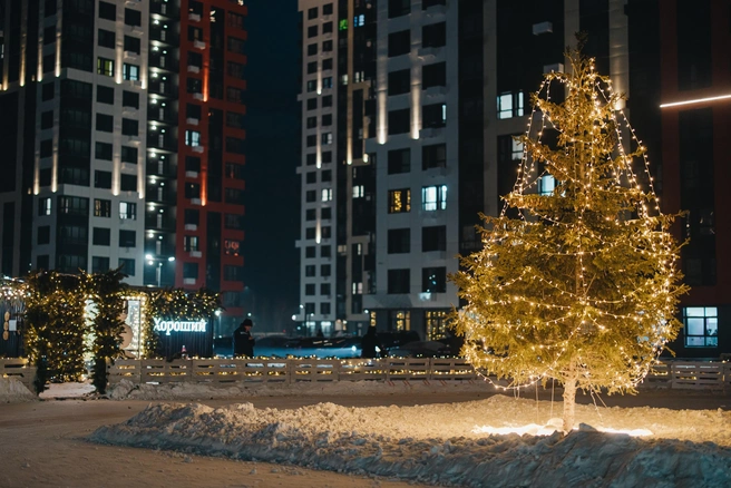 Источник: Ксения Зимина