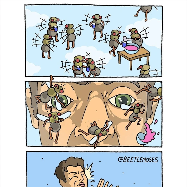 Источник: соцсети
