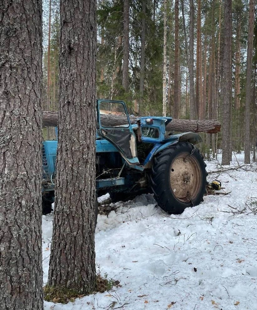 Источник: СУ СК России по Архангельской области и НАО