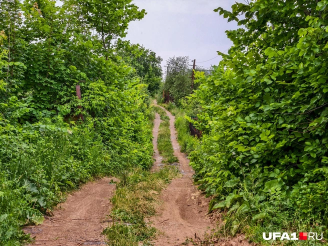 Как в деревне, хотя это Уфа | Источник: Булат Салихов / UFA1.RU