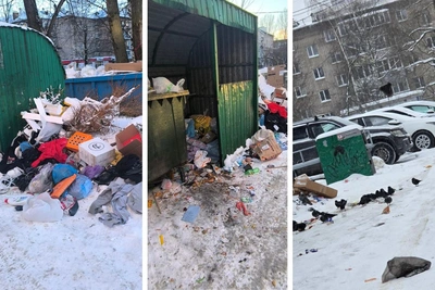 Ярославцы жалуются на заваленный мусором двор