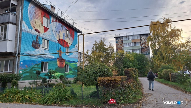 Это лишь небольшая часть от всего сада | Источник: Мария Борзева / YA62.RU