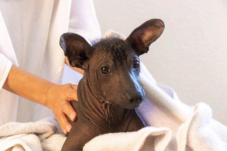 Источник: ADDICTIVE STOCK CREATIVES