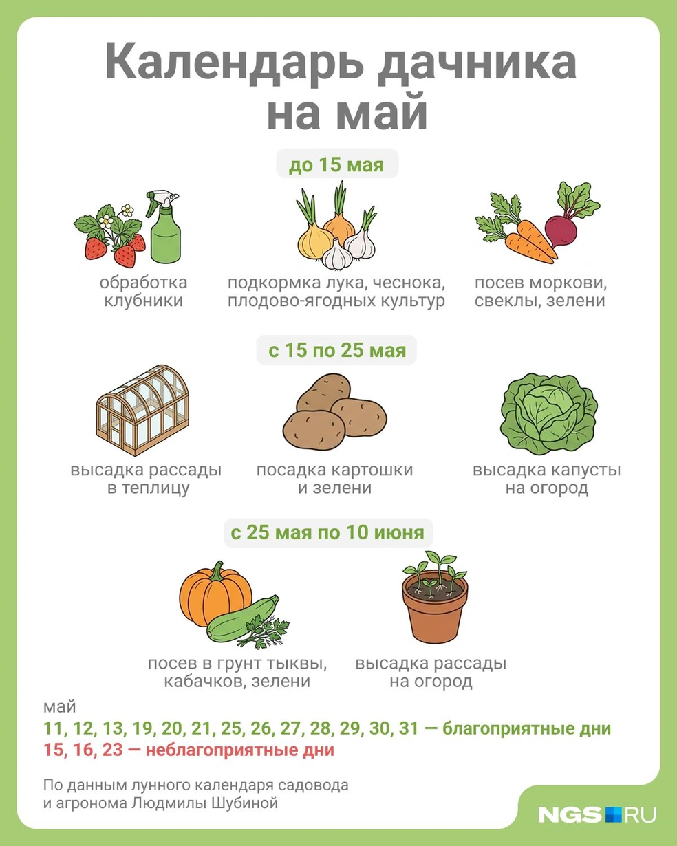 Некоторые дни не подходят для посадок | Источник: Юрий Орлов / Городские медиа
