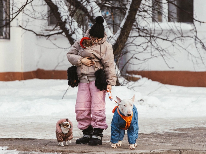 В городе утепляются все: даже собаки гуляют в специальных куртках. | Источник: Артем Бауман / 76.RU