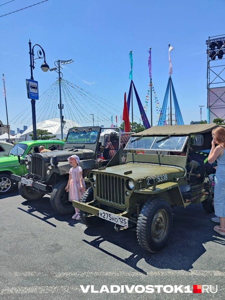 Источник: Татьяна Акишина / VLADIVOSTOK1.RU