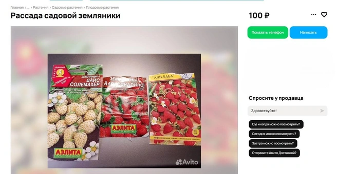 Источник: Avito.ru