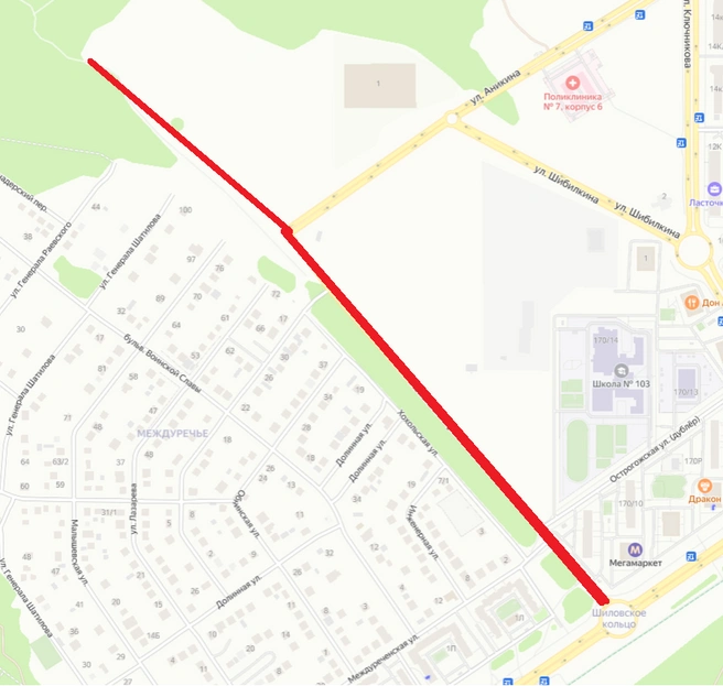 Источник: администрация Воронежа / voronezh-city.gosuslugi.ru