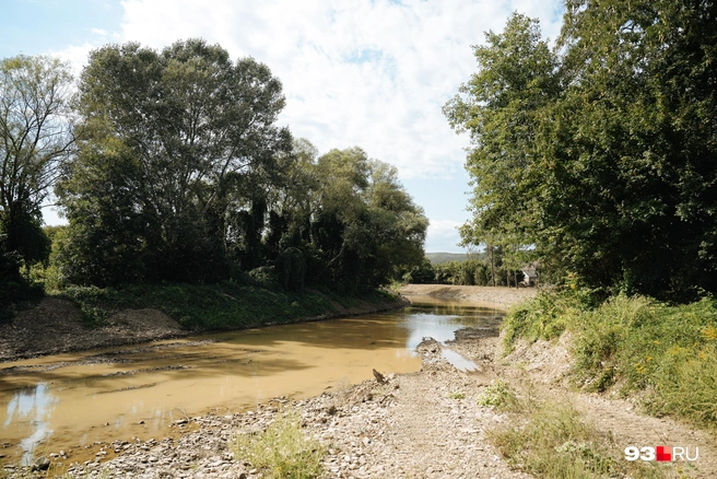 Глядя на пересохшую реку трудно поверить, что она может затопить целую станицу | Источник: Дарья Паращенко / 93.RU