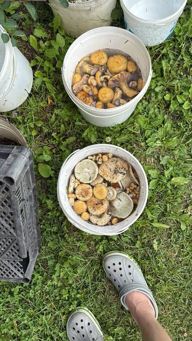 А тут уже два ведра | Источник: читатель NGS24.RU 