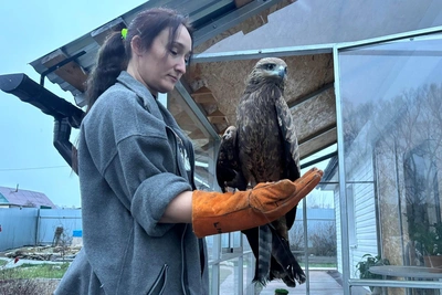 “Sometimes you think: 'Why do I even need this?'”: How an IT worker from a village near Kazan has been saving birds for 15 years