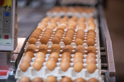 Мираторг не покупал птицефабрику «Волжанин»