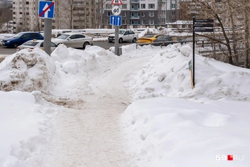 Здесь пермяки спускаются к визит-центру в логу | Источник: Василина Любимова / 59.RU