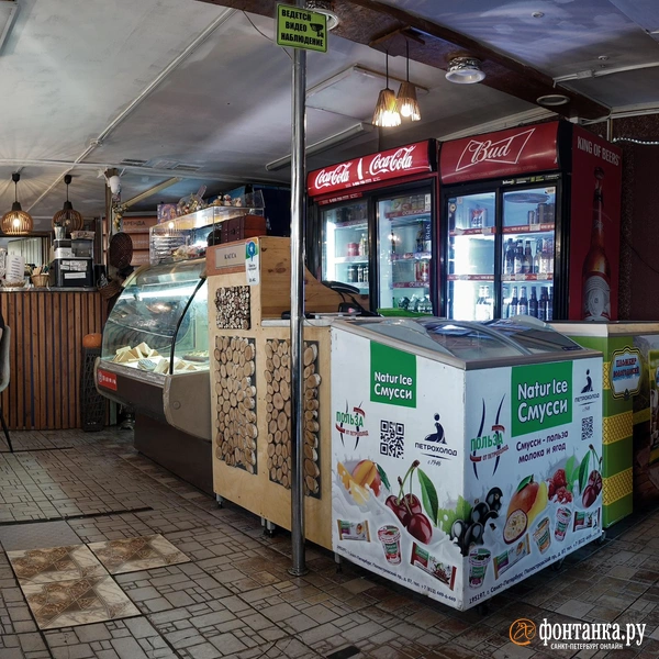 Источник: Михаил Огнев / «Фонтанка.ру»