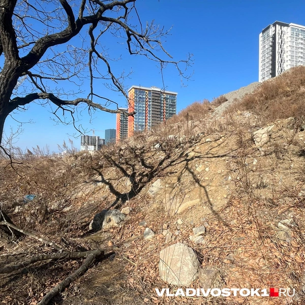 Источник: Елена Буйвол / VLADIVOSTOK1.RU