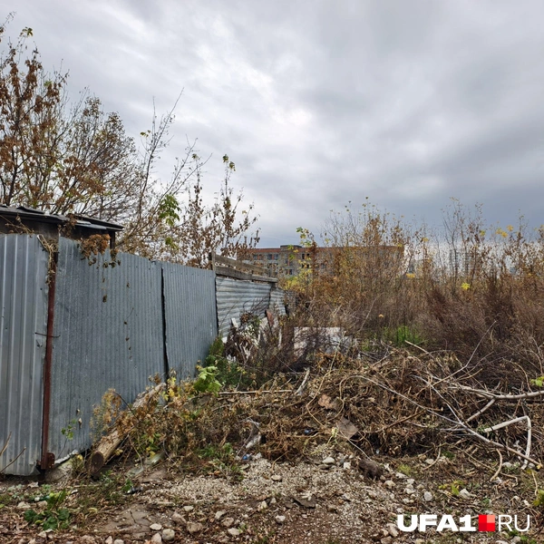 Поломанные ветки везде | Источник: Булат Салихов / UFA1.RU