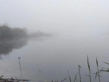Граница между водой и воздухом становится неразличимой | Источник: читатели V1.RU