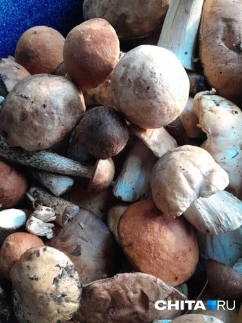 Источник: очевидец