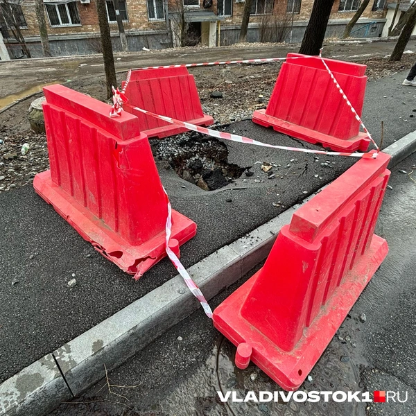 Источник: Елена Буйвол / VLADIVOSTOK1.RU