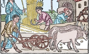 Год и день отпуска: почему 700 лет назад английским крестьянам жилось легче, чем современным британцам