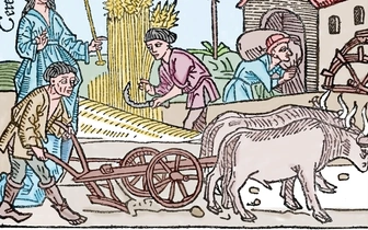 Год и день отпуска: почему 700 лет назад английским крестьянам жилось легче, чем современным британцам