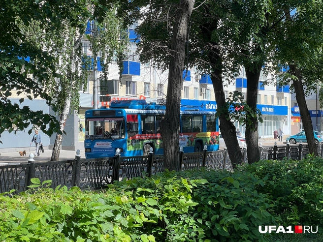 Прохлаждается | Источник: Андрей Бирюков / UFA1.RU