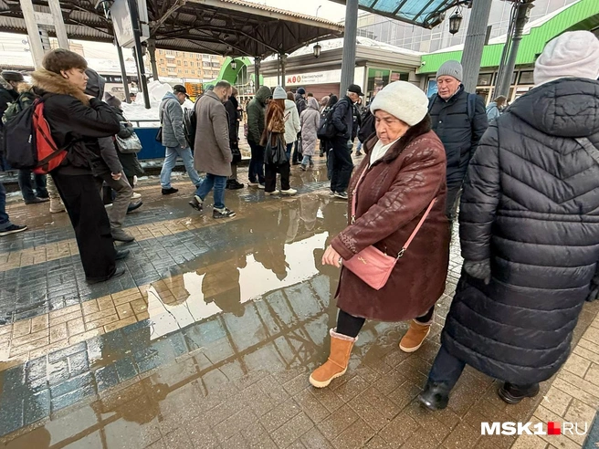 Источник: Артем Устюжанин / MSK1.RU